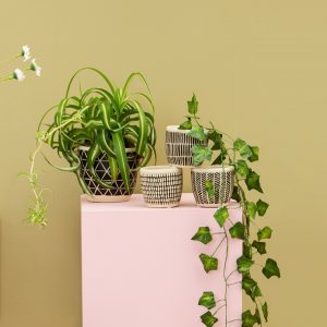 Scandi Cement Planter