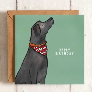 Labrador Birthday Greetings Card