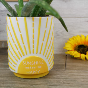 Sunshine Plant Pot
